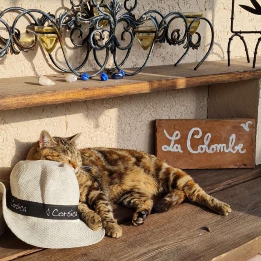לינה וארוחת בוקר טורט La Colombe מראה חיצוני תמונה